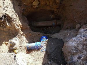 Lee más sobre el artículo slider-1